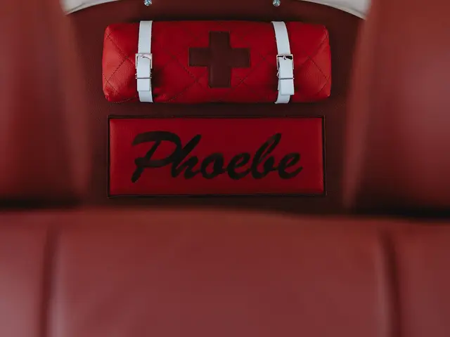 Red leather headrest with embroidered name
