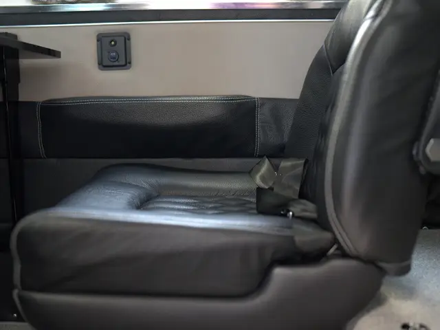 Leather seat and matching door panel