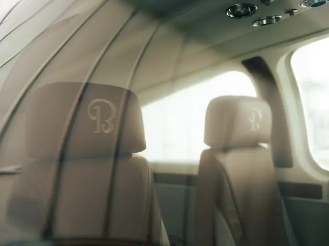 Tan leather Bonanza seats with embroidered headrests