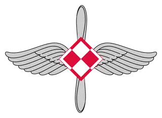 Polish Air Force